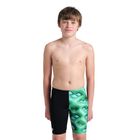 008172-560-BOY-S-ARENA-LOGO-GRAPHIC-SWIM-JAMMER-001.62682f83.jpg